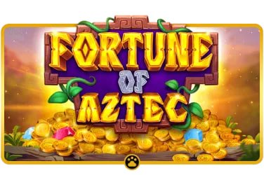fogo bet