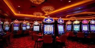 fogo bet